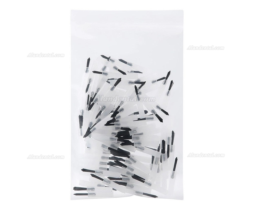 100pcs Disposable Dental Applicator Tips Brush + 2pcs Handles Replaceable Composite